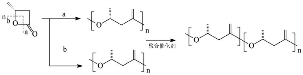 Preparation method of polymerized 3-hydroxybutyric acid