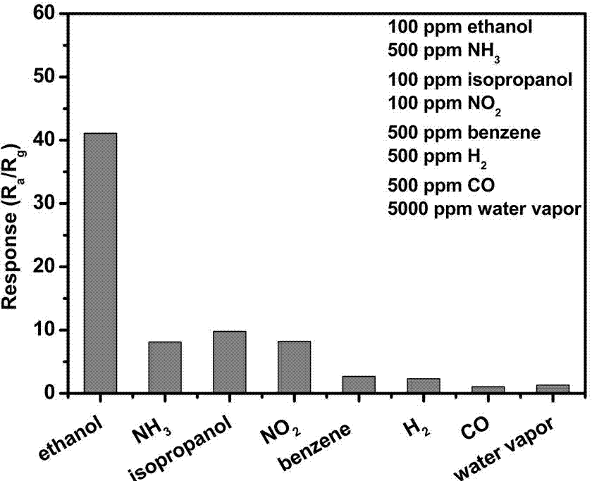 Method for in-situ growth of two-dimensional lamellar structured nano-zinc oxide on ceramic tube