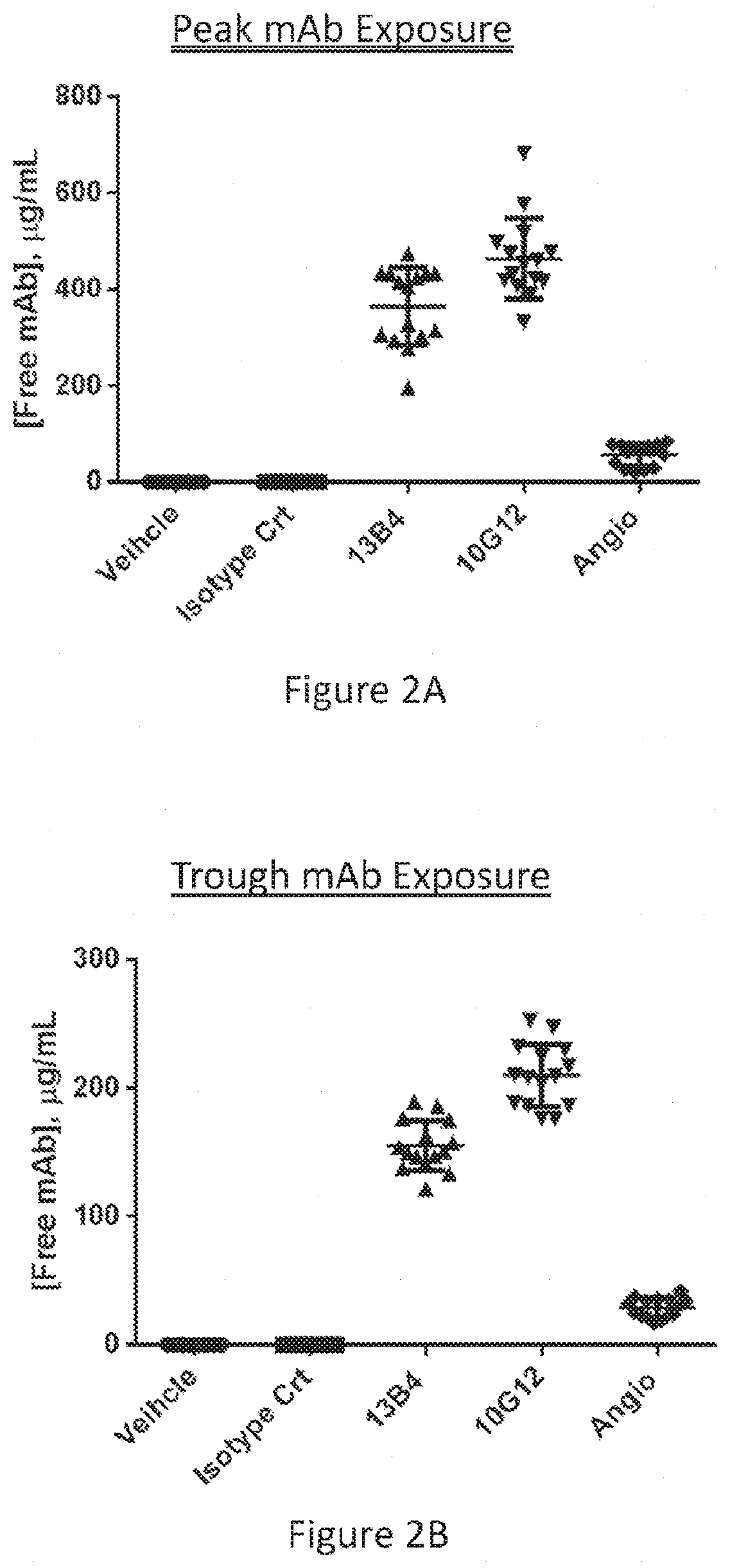 Anti-flt-1 antibodies for treating duchenne muscular dystrophy