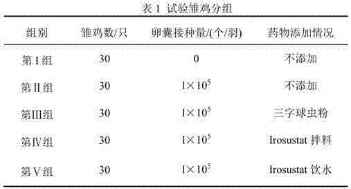 Application of Irosustat in preparing drugs resistant to eimeria tenella