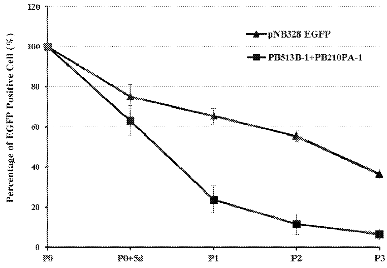 Efficient and safe transposon integration system and use thereof