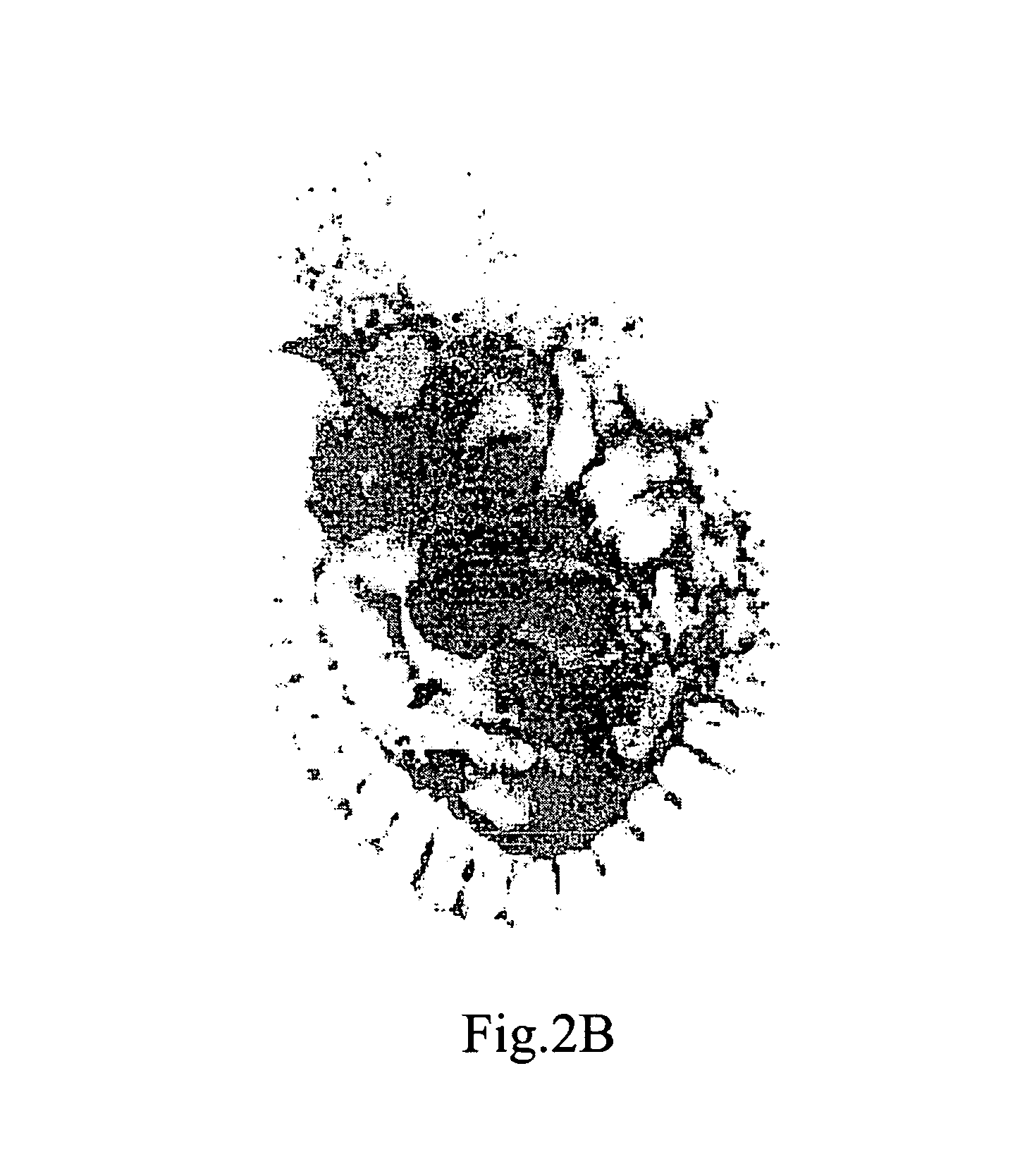 Plexin family-like polypeptide, and uses thereof