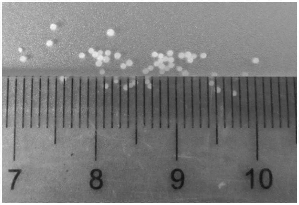 Potassium nitrate low-tower granulation method and potassium nitrate particles prepared thereby