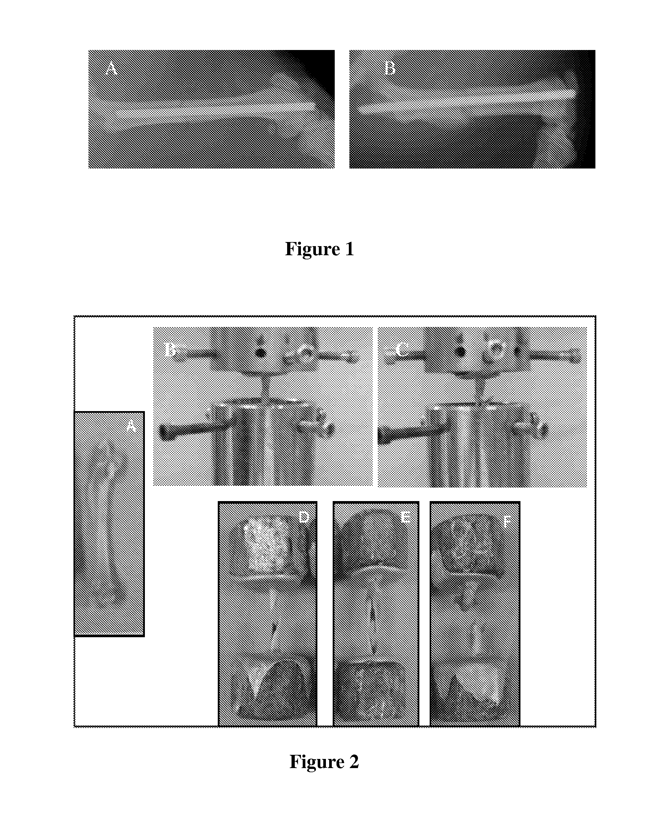 Implantable devices coated with insulin-mimetic agent composites and methods thereof