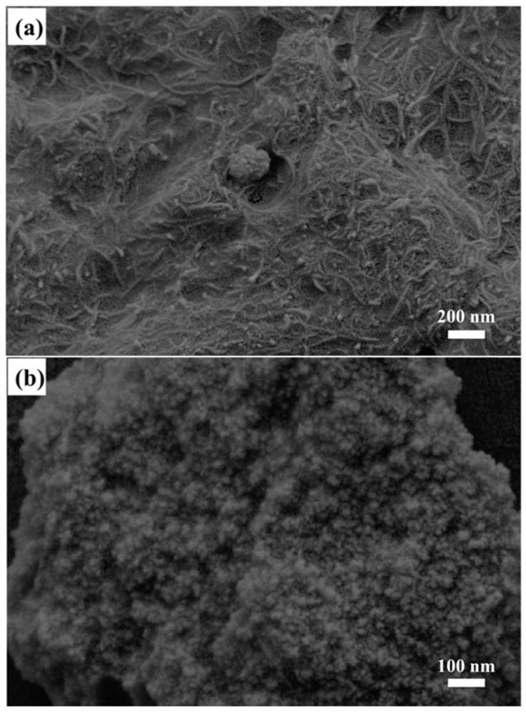 S-doped Sn oxide catalytic electrode and preparation and application thereof