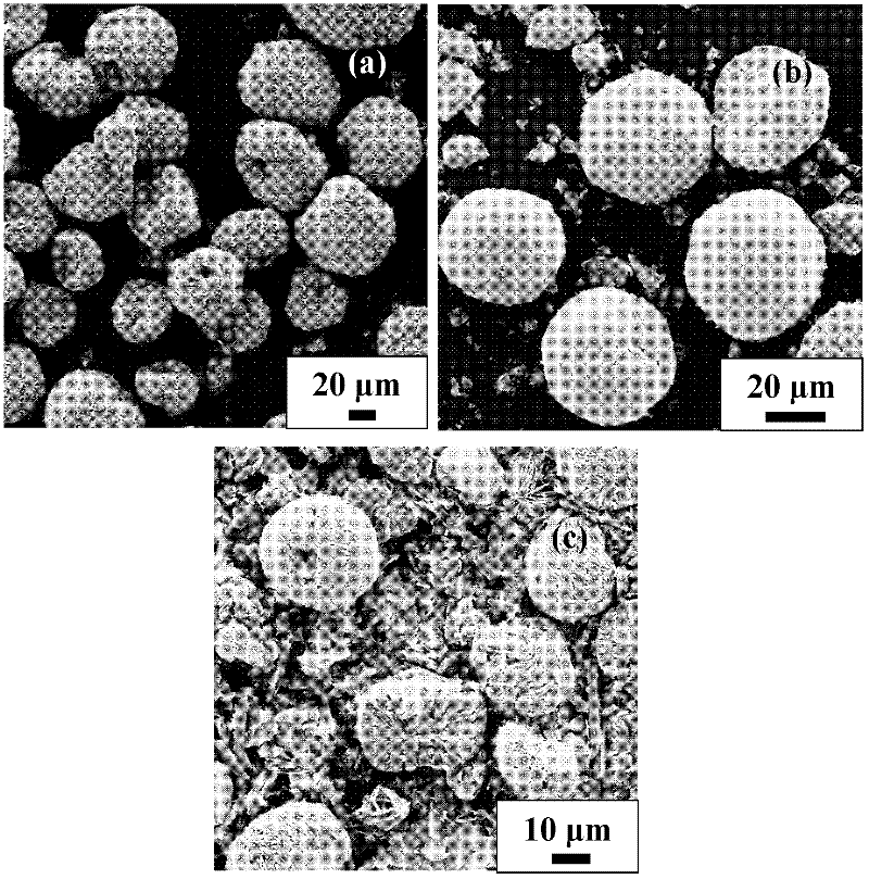 A Surfactant-Assisted Hydrothermal Method for the Preparation of Bird's Nest-shaped CO3O4