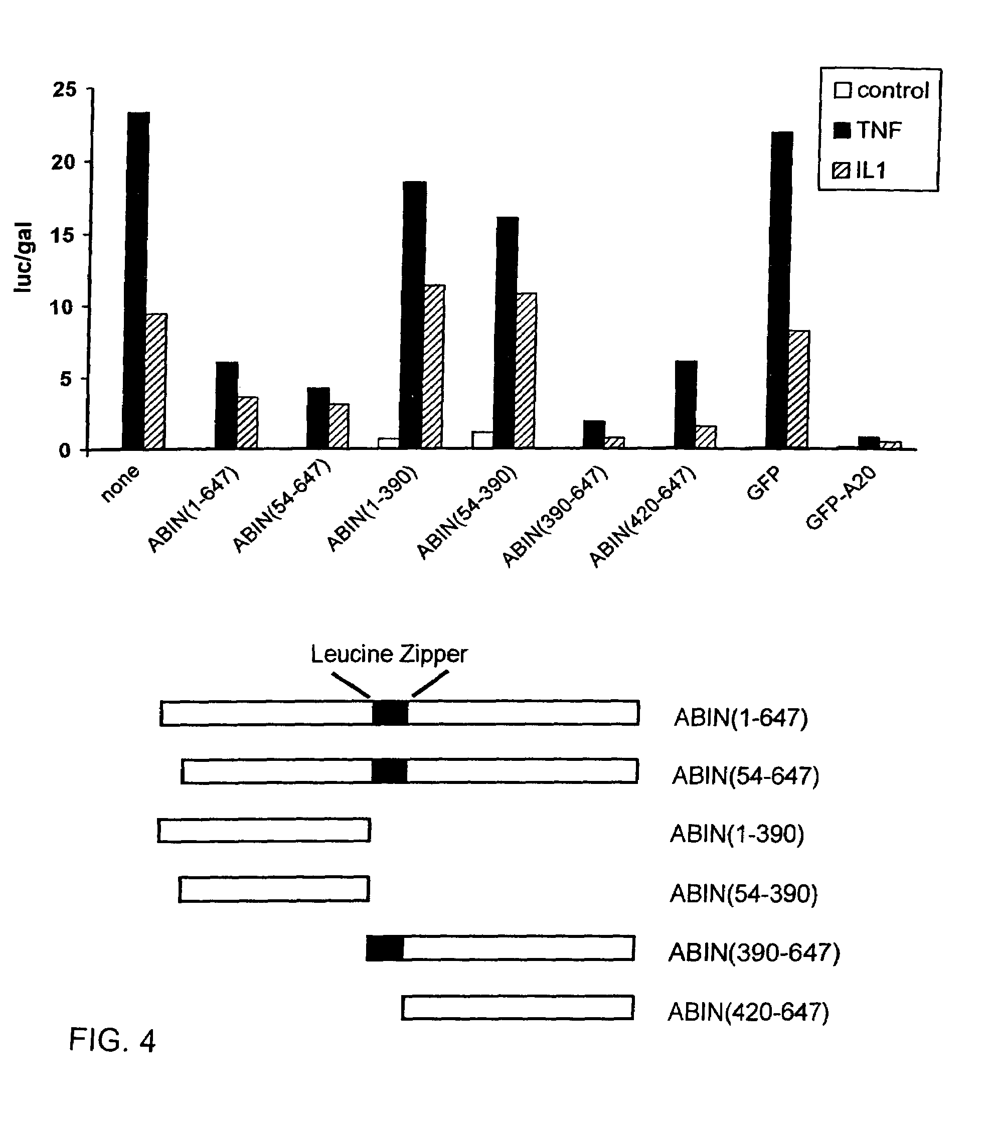 Inhibitors of NF-kappaB activation