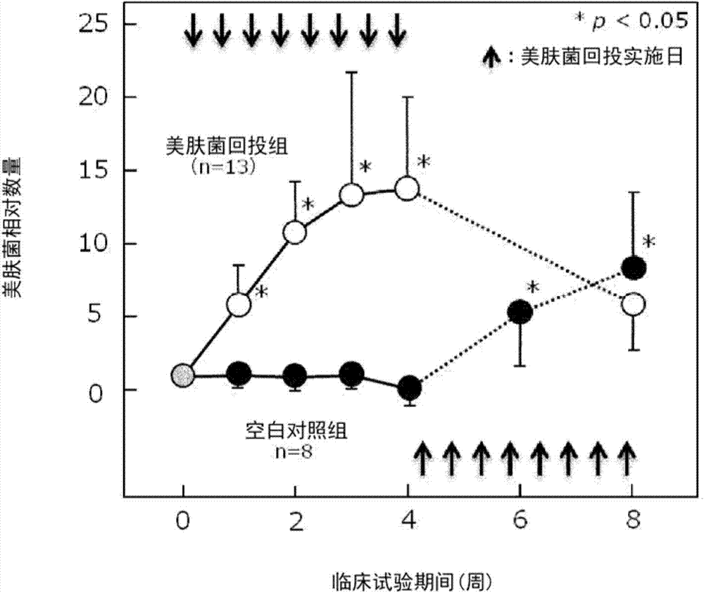 Beauty treatment method, skin care composition, bacterial cell, and dried bacterial cell