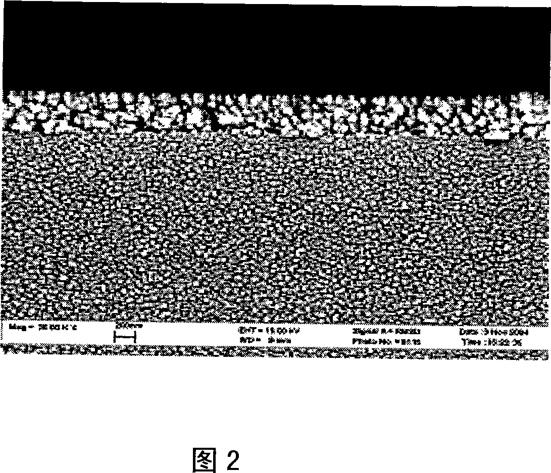 Method of preparing highly effective nano antibiotic functional ceramic and application thereof