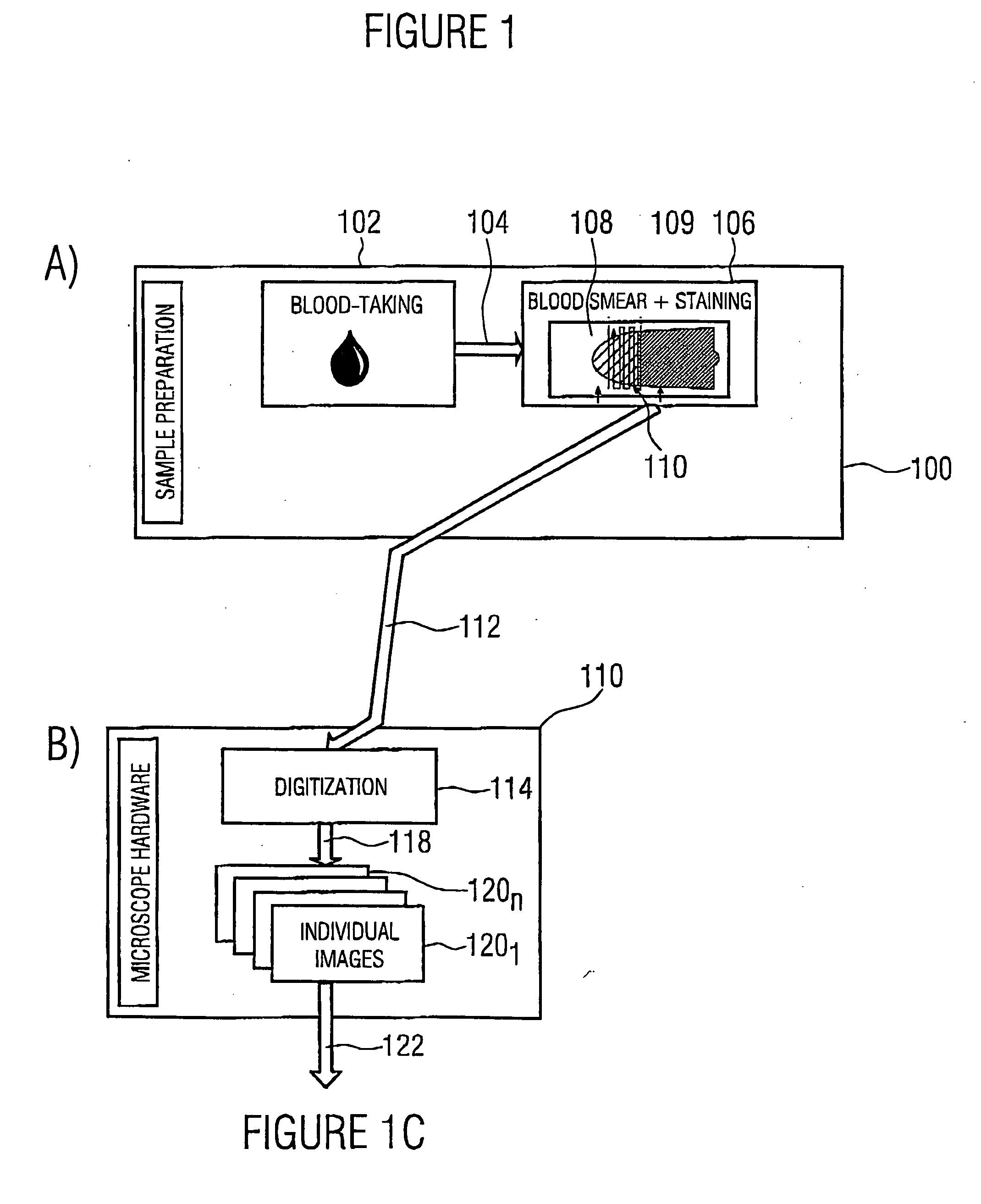 Method and apparatus for detecting various cell types of cells in a biological sample