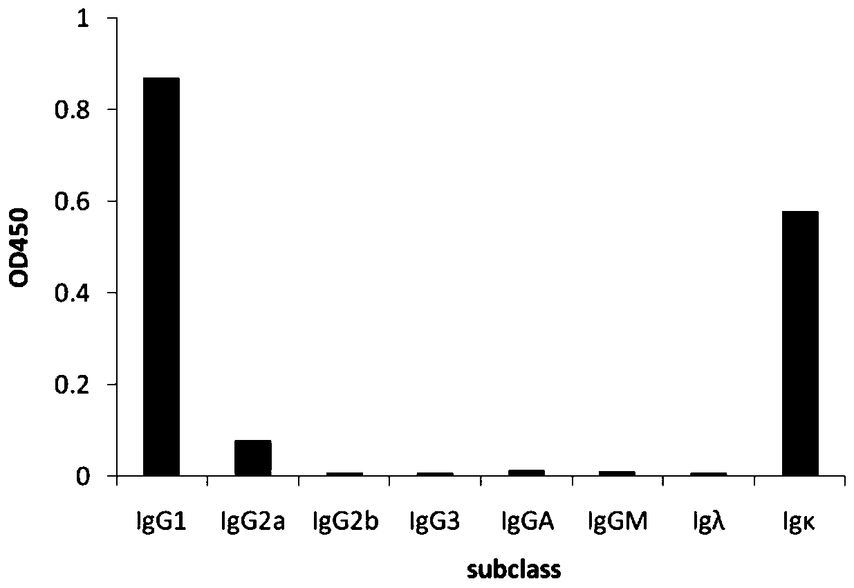 Mouse-derived monoclonal antibody for neutralizing botulinum toxin type A and application of mouse-derived monoclonal antibody