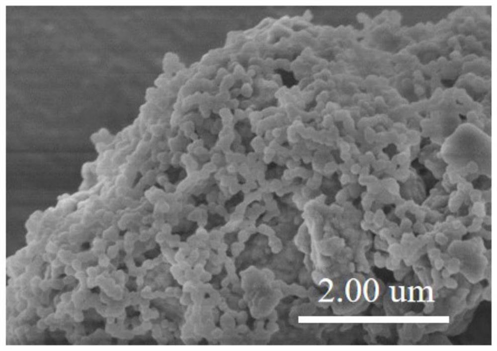 Preparation method of a conjugated three-dimensional porphyrin-based covalent organic framework material