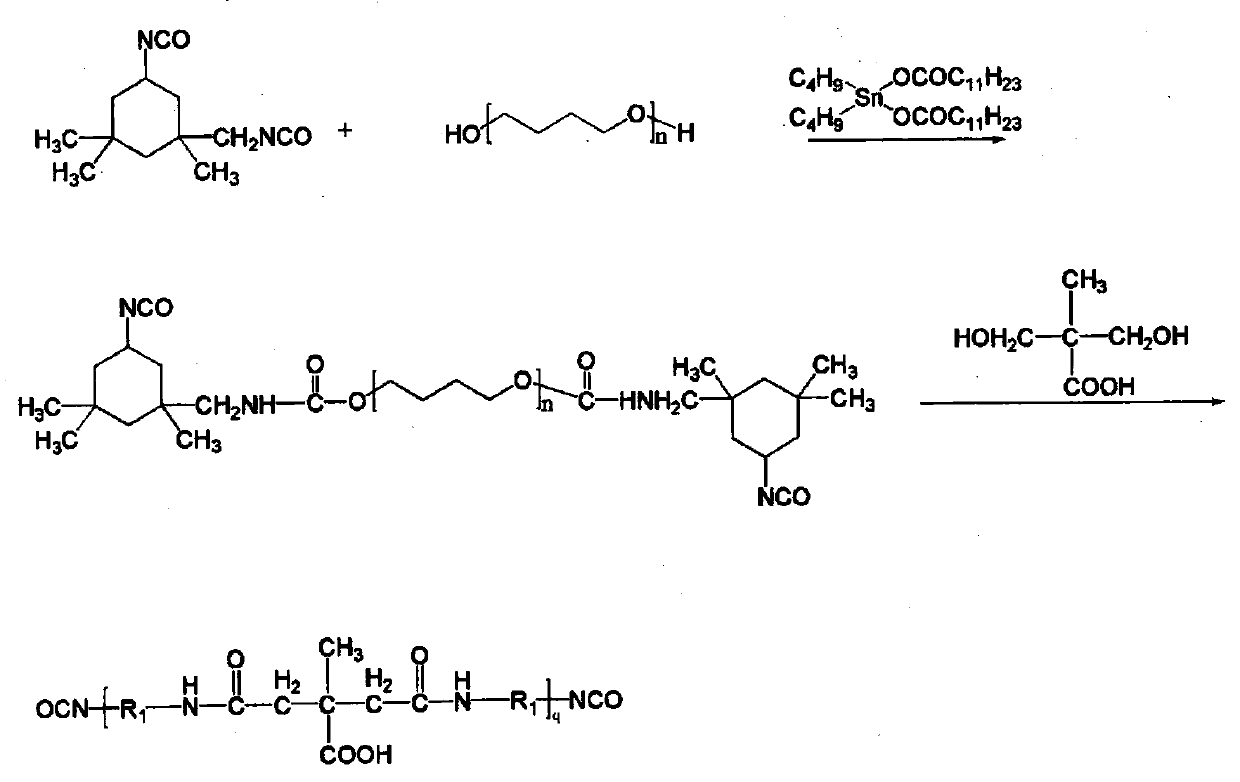 A kind of wool anti-felt shrinkage finishing agent and preparation method and application thereof