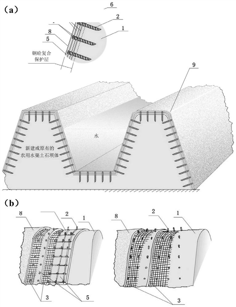 Reinforcing and Reconstruction Device for Whole-body Baotuan Dam and Earth-rock Dam