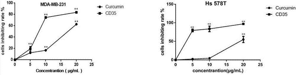 Application of curcumin analogue CD35 to preparation of medicine for treating breast cancer