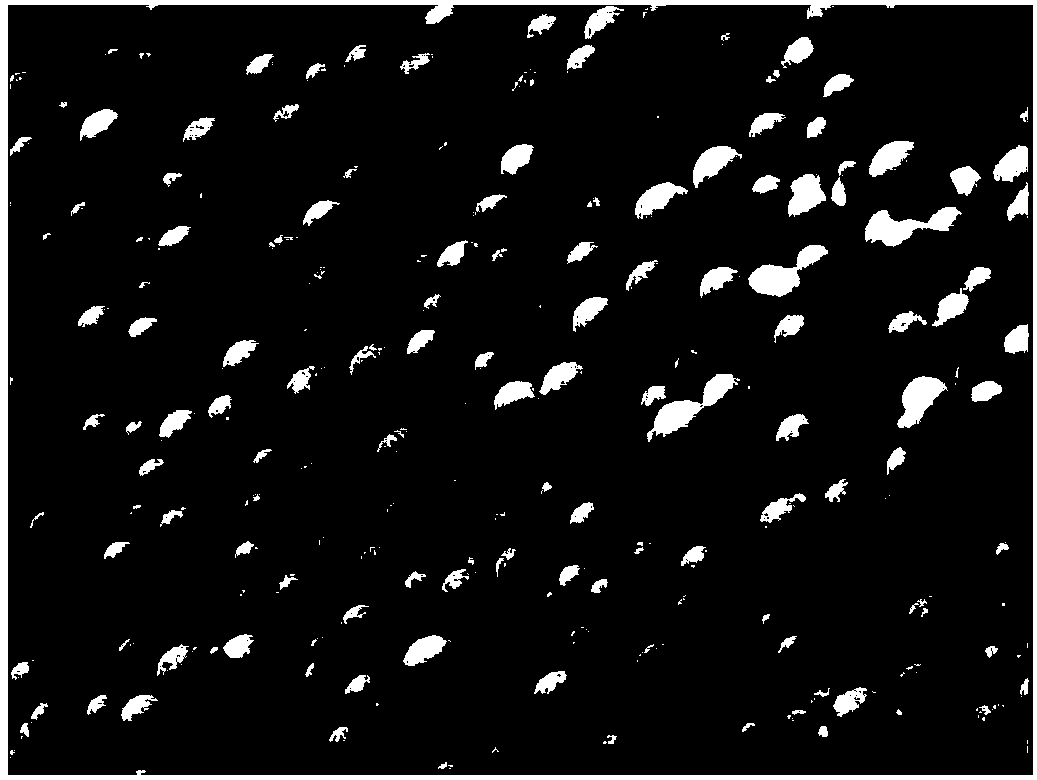 Olefin polymerization catalyst support, preparation method, catalyst component for olefin polymerization, olefin polymerization catalyst and applications of olefin polymerization catalyst support, catalyst component for olefin polymerization and olefin polymerization catalyst