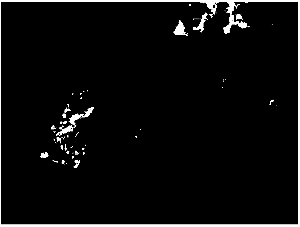 Olefin polymerization catalyst support, preparation method, catalyst component for olefin polymerization, olefin polymerization catalyst and applications of olefin polymerization catalyst support, catalyst component for olefin polymerization and olefin polymerization catalyst