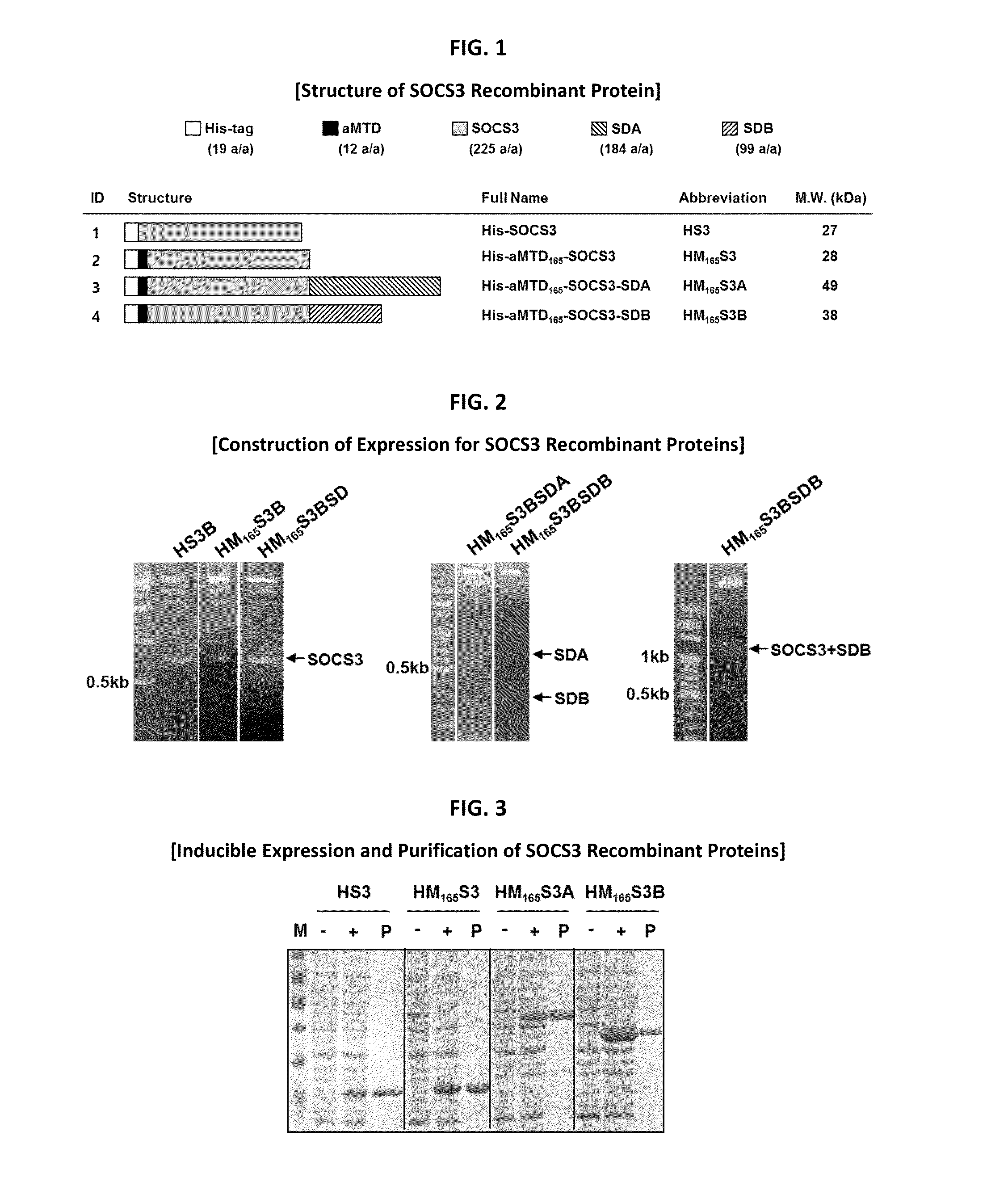 Development of Protein-Based Biotherapeutics That Penetrates Cell-Membrane and Induces Anti-Pancreatic Cancer Effect - Improved Cell-Permeable Suppressor of Cytokine Signaling (iCP-SOCS3) Proteins, Polynucleotides Encoding the Same, and Anti-Pancreatic Cancer Compositions Comprising the Same