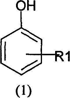 Use of aluminium nitrate in phenol derivative nitrofication