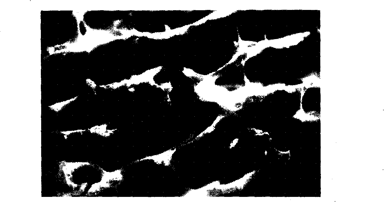 Bone material preserving fluid and its prepn and use