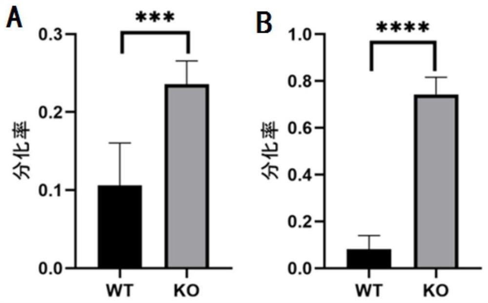 Application of substance for regulating level of NLRP6 gene and/or expression product thereof