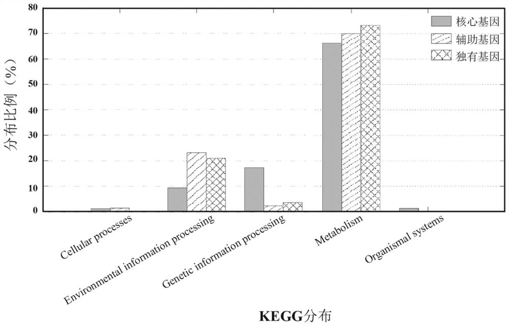 Pediococcus acidilactici for promoting production of flavor substances in fermented food and application of pediococcus acidilactici