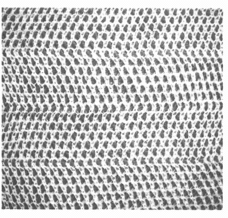 Structure of double-layer yarn-dyed anti-raveling knitted fabric