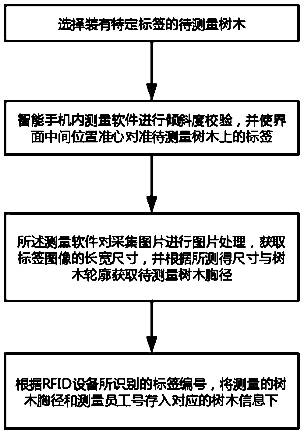 Non-contact tree breast height diameter measuring method and system based on computer vision