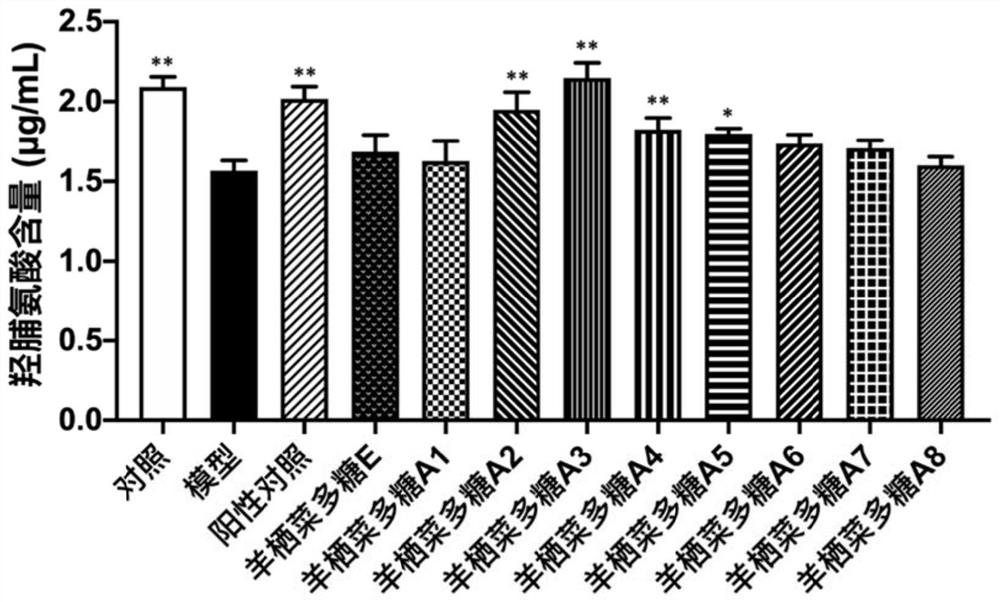 Sargassum fusiforme polysaccharide with remarkable anti-photoaging activity and application thereof