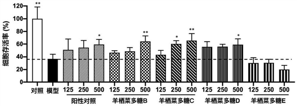 Sargassum fusiforme polysaccharide with remarkable anti-photoaging activity and application thereof