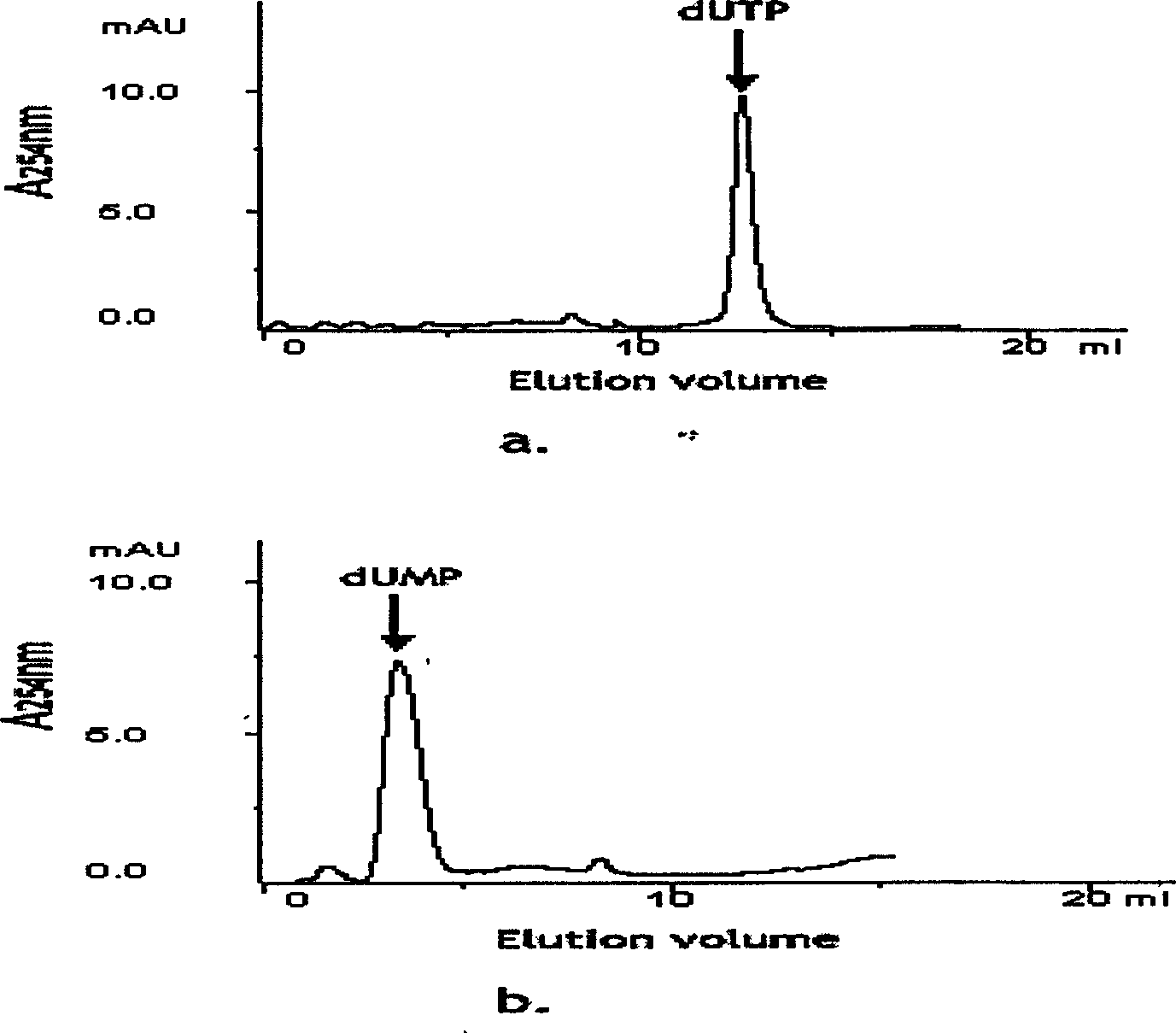 Prawn leukasmus rhabdovirus dUTPase gene and coded polypeptide thereof