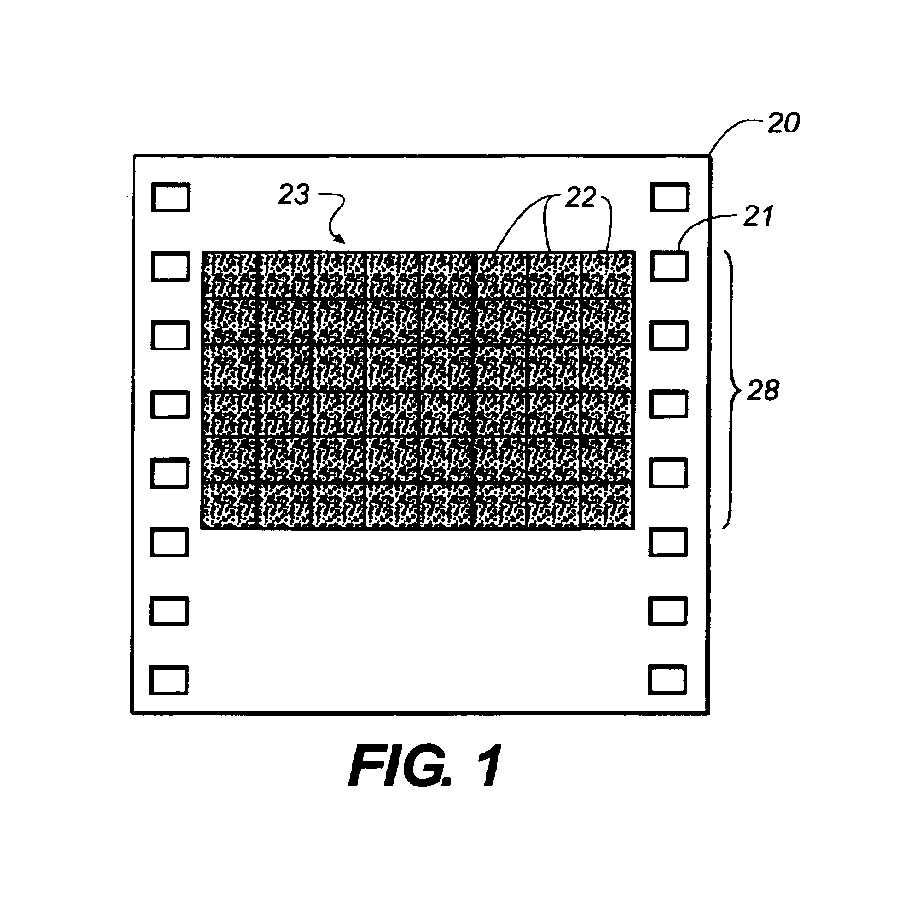 Method and apparatus for exposing a latent watermark on film