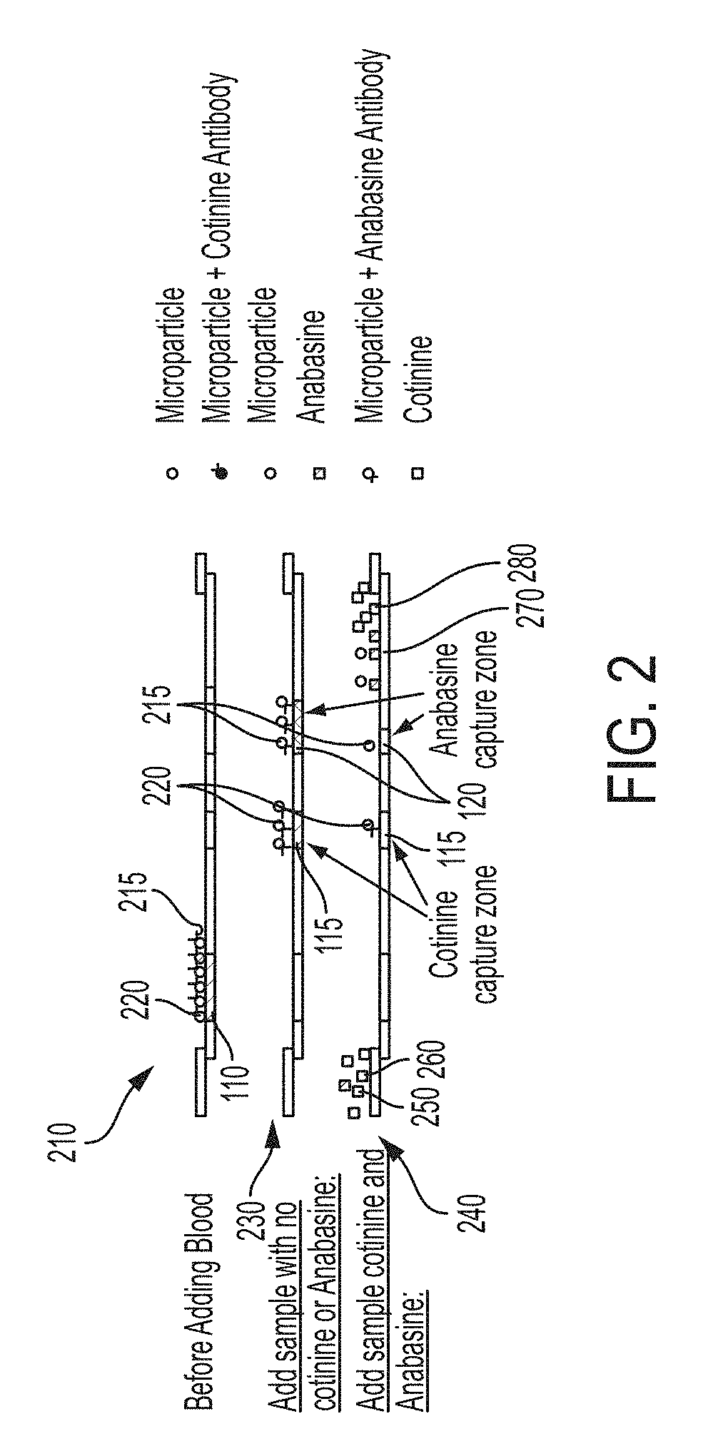 Systems and methods for distinguishing cotinine from anabasine in a point-of-care testing device