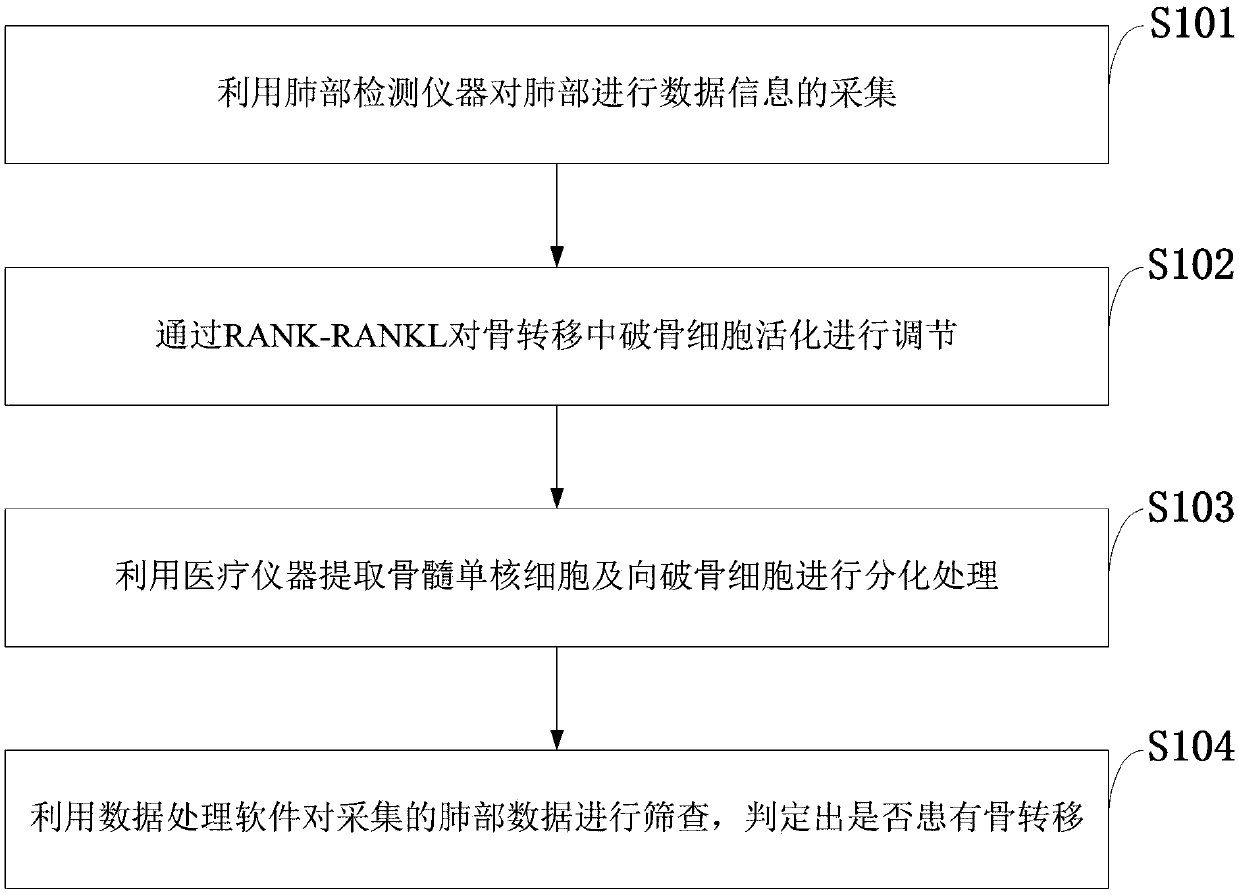 Measurement method for regulating osteoclast activation mechanism in osseous metastasis