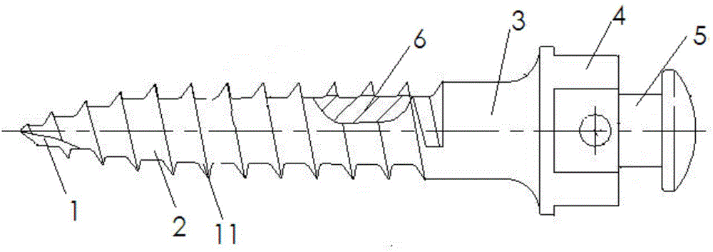 Miniature anchorage screw and correcting device with same
