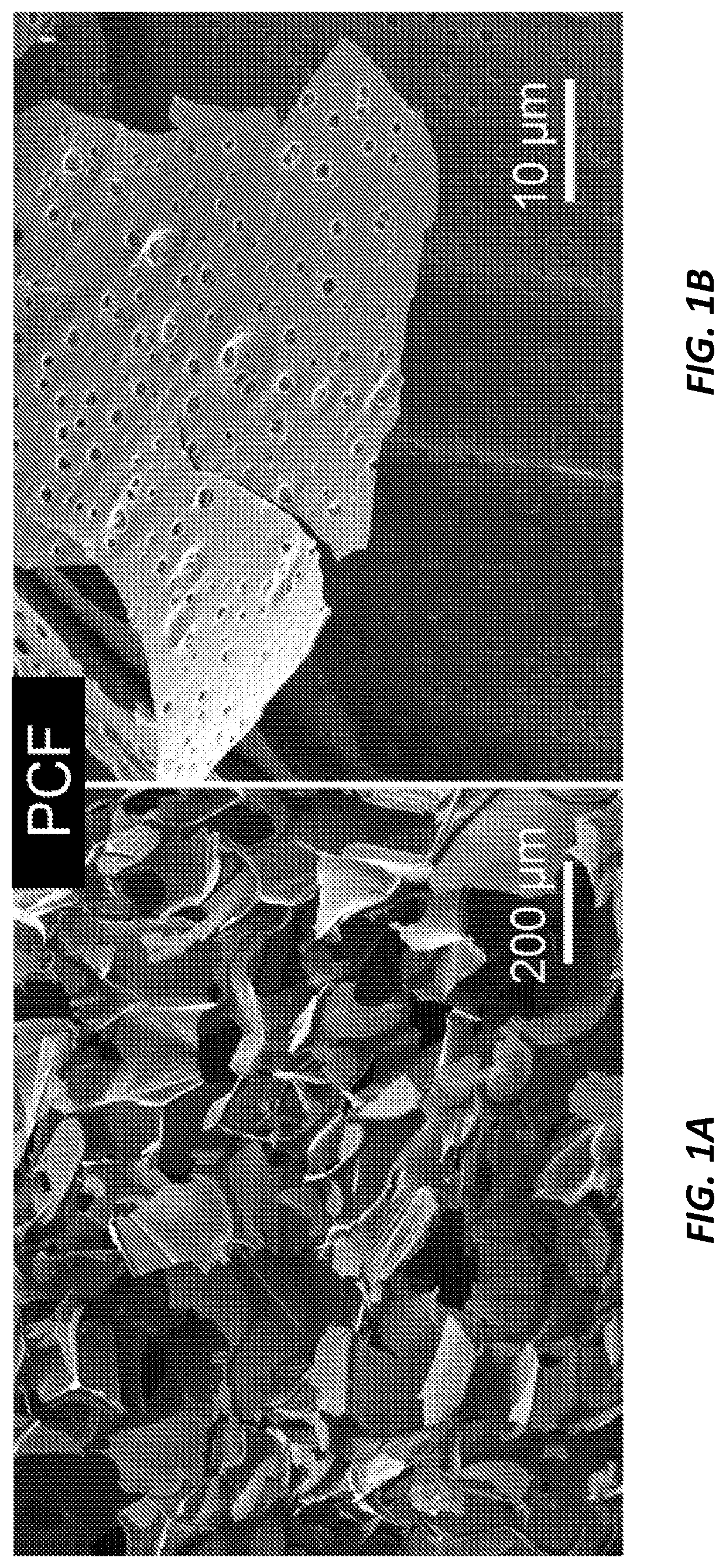 Three-dimensional hierarchical porous carbon foams for supercapacitors