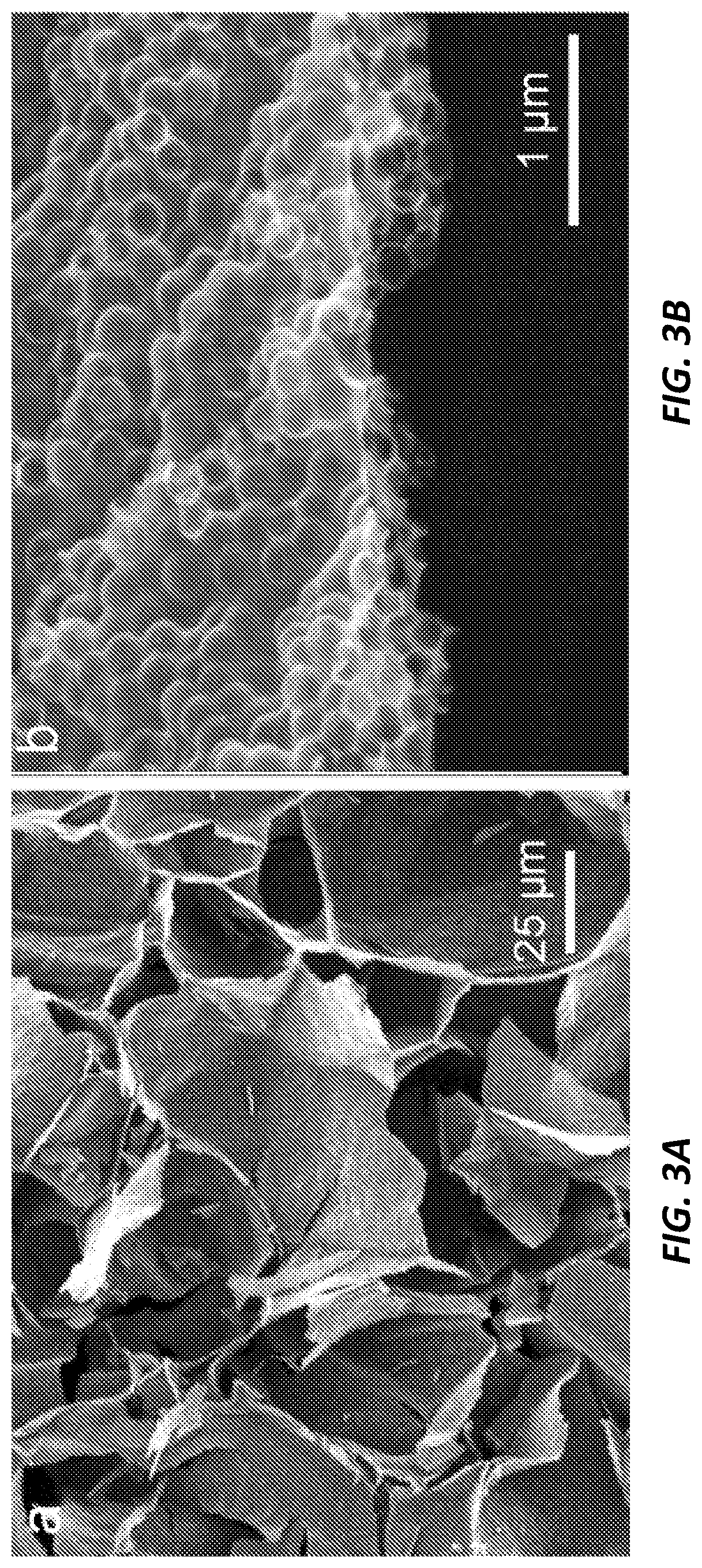 Three-dimensional hierarchical porous carbon foams for supercapacitors