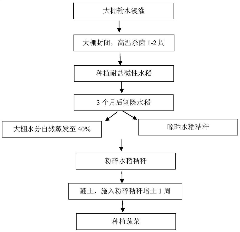 Method for relieving soil secondary salinization of vegetable planting field