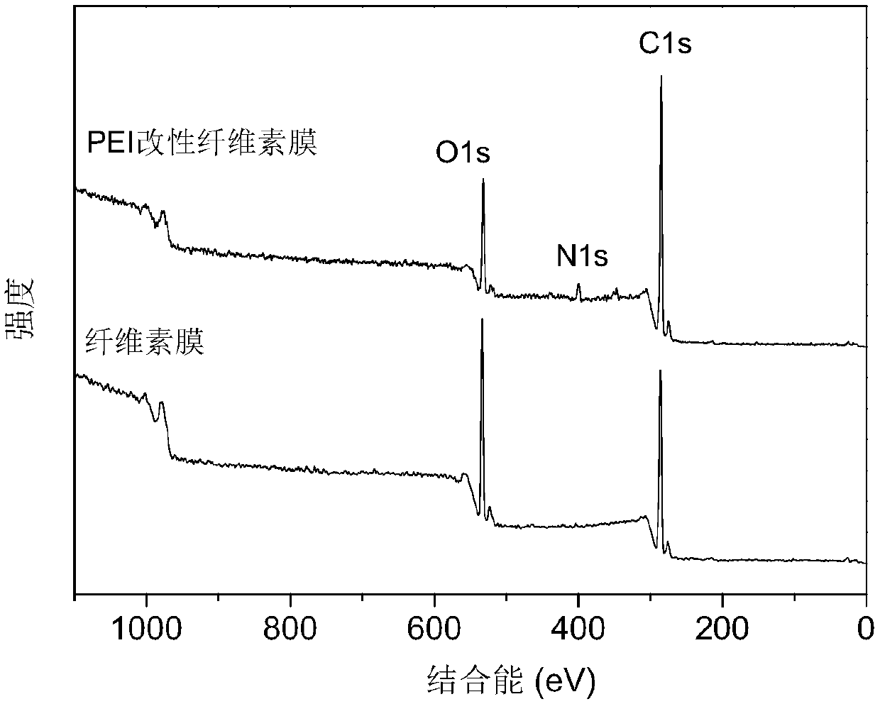 PEI (polyethyleneimine) modified cellulose membrane adsorbent and preparation method thereof