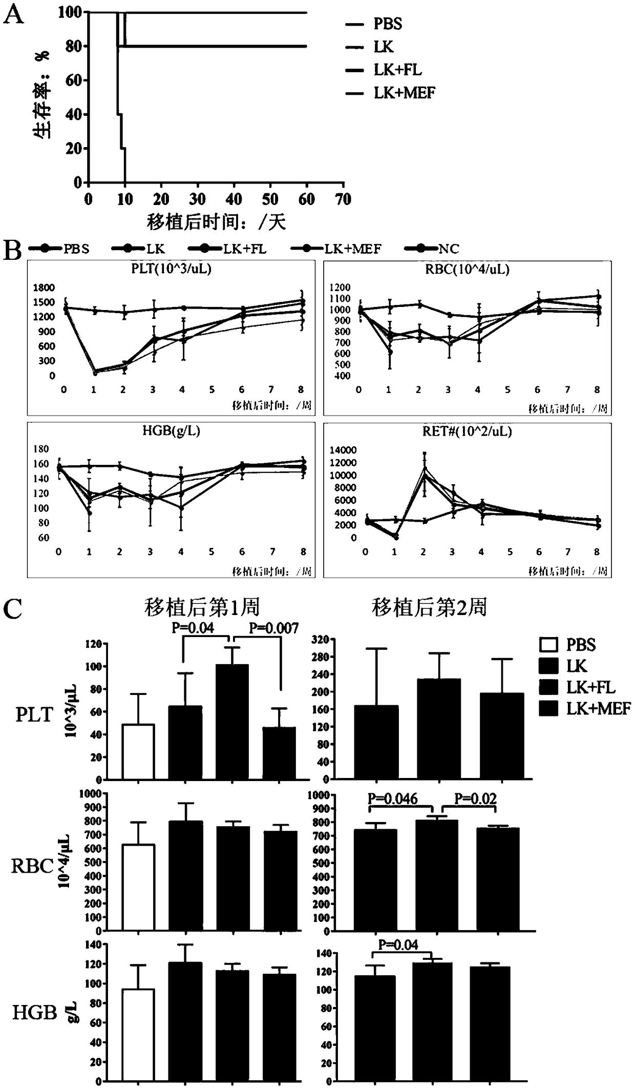 Mouse fetal liver stromal cell construction method and application thereof in hemopoiesis assistance