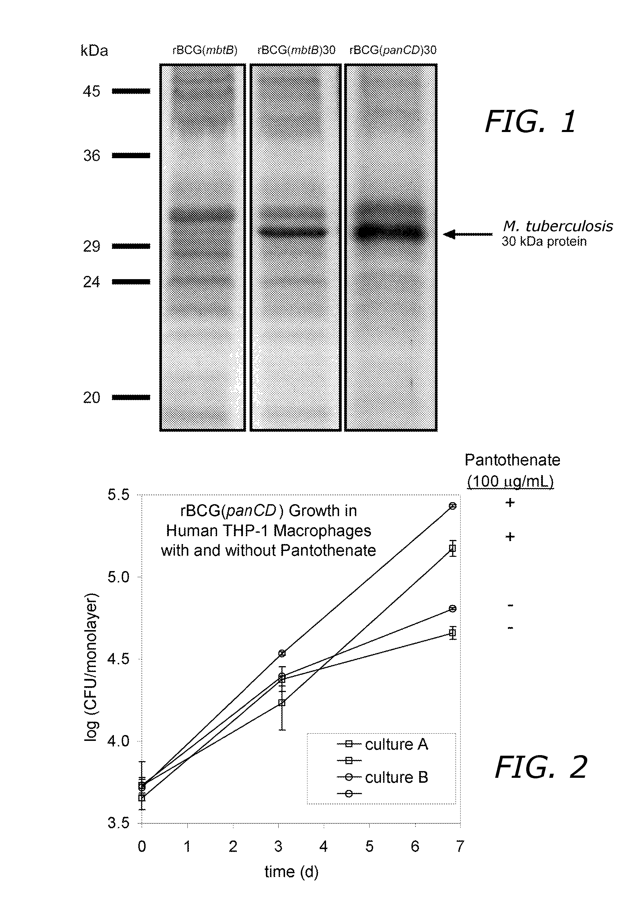 Growth regulatable recombinant BCG compositions