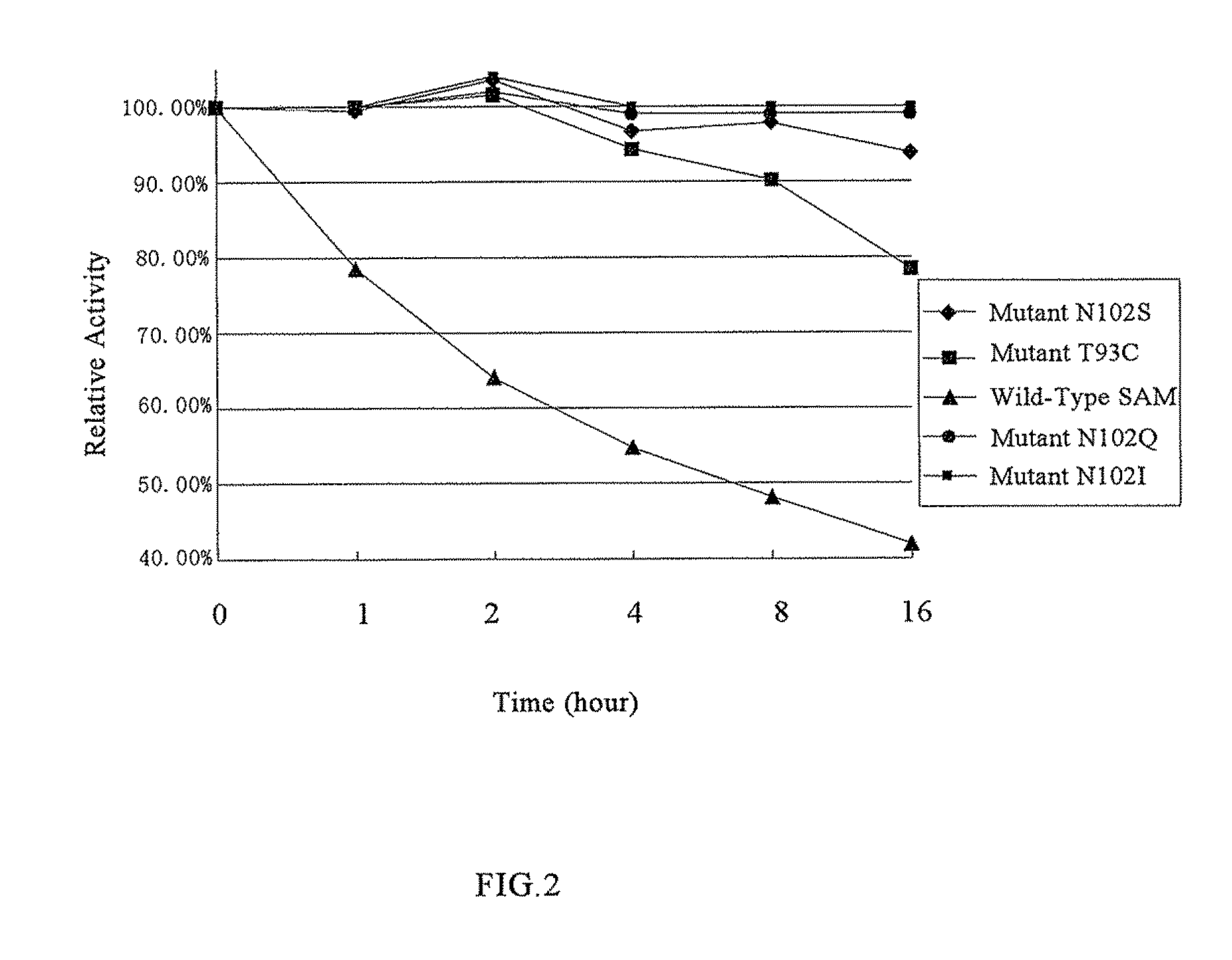 S-adenosylmethionine synthetase mutants, the DNAs encoding the same and uses of the mutants