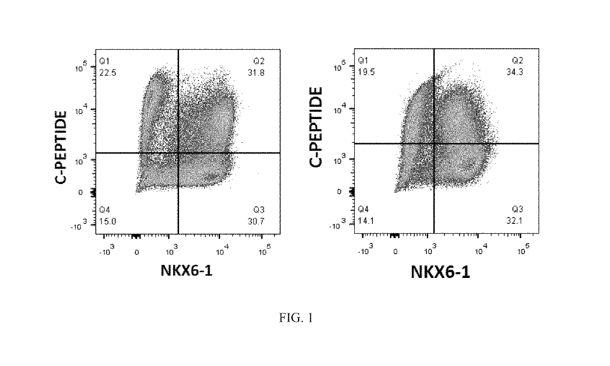 Serum-free in vitro directed differentiation protocol for generating stem cell-derived beta cells and uses thereof