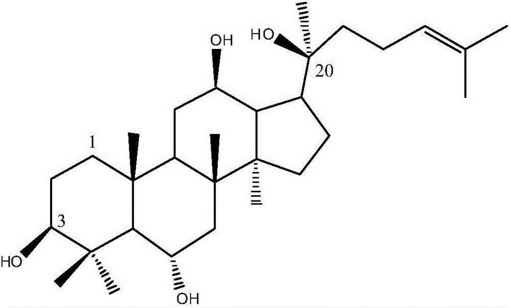 Rare ginsenoside composition including rare protopanaxatriol (PPT)