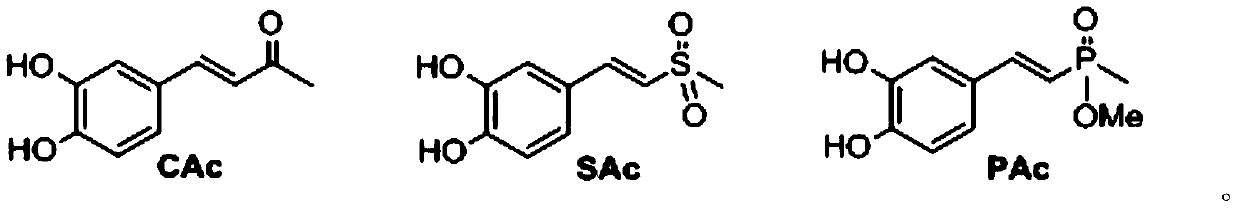 Quinic acid derivative and preparation method and application thereof