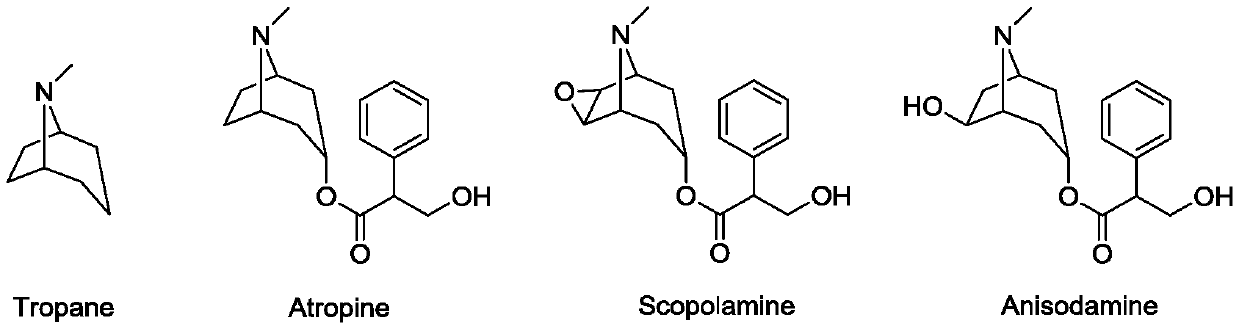 A kind of tropane type alkaloid and its synthetic method