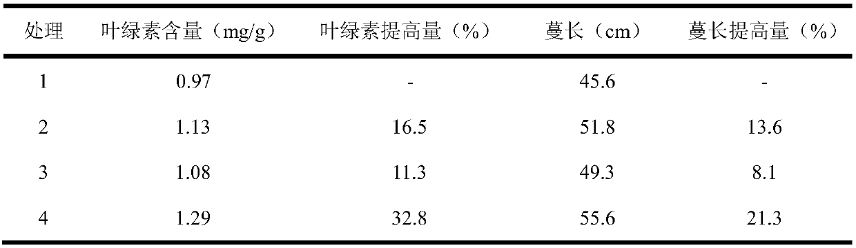 Slowly-released synergistic compound fertilizer