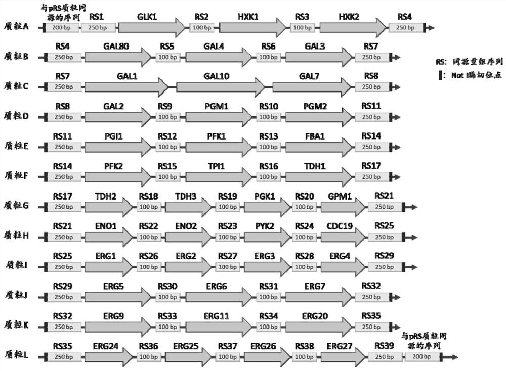 Peptide fragment-based targeted proteome accurate quantification method