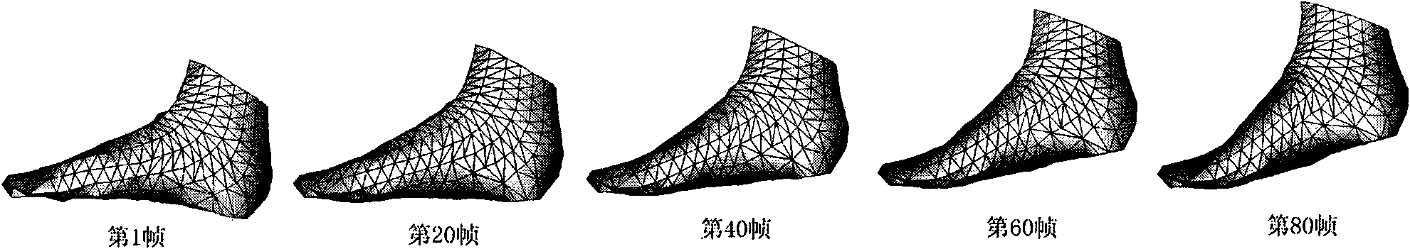 Method for obtaining dynamic shape of foot model