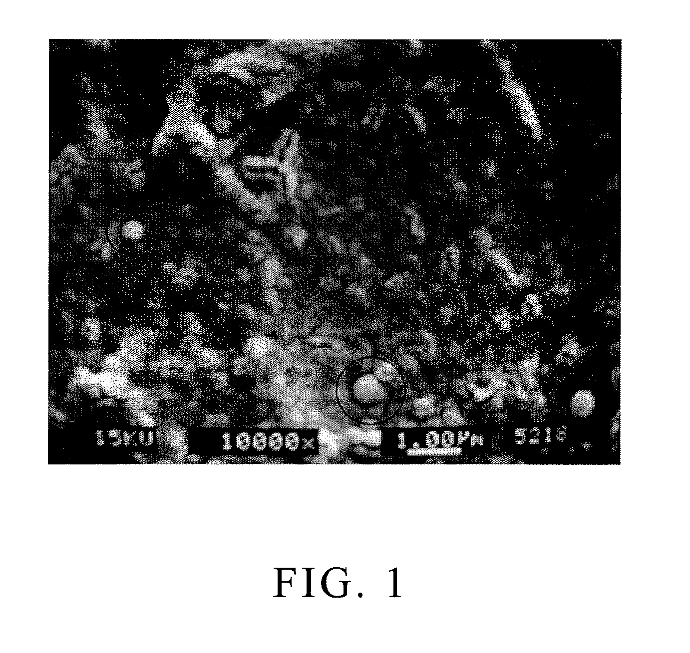 Poly (lactic acid) resin composition for preparing transparent and impact-resistant article, article prepared therefrom and preparation process thereof